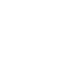 Zodiac Animal in Chinese Character