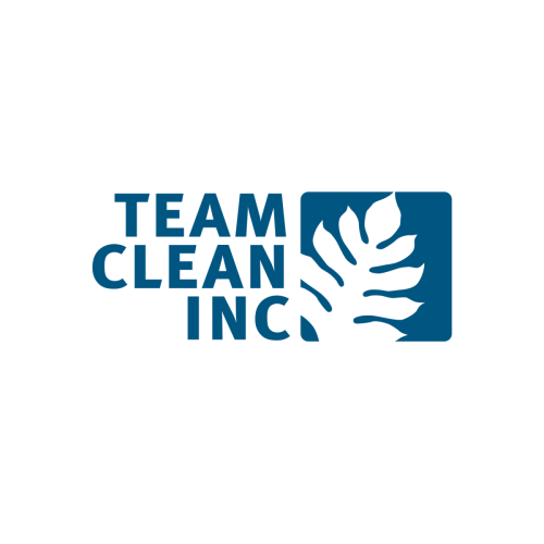 Team-Clean-Inc logo